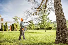 Best Lawn Irrigation Installation and Maintenance  in Mclean, VA