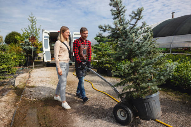 Best Weed Control  in Mclean, VA