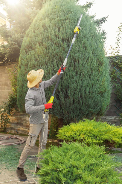 Lawn Grading and Leveling in Mclean, VA